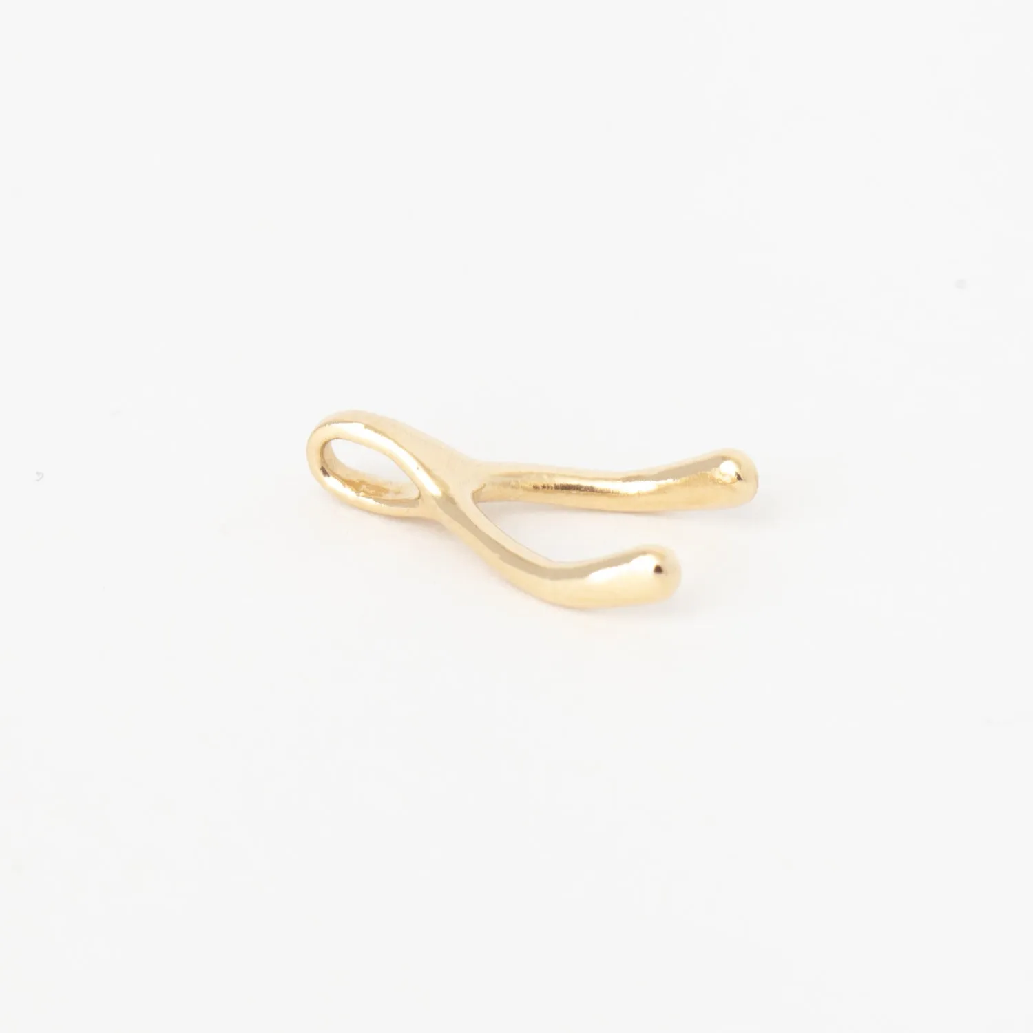 Wishbone Charm